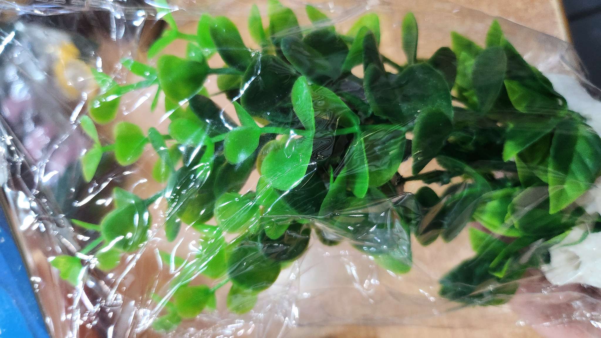 Фотография покупателя товара Растение искусственное аквариумное, 12.5×10×14 см - Фото 6