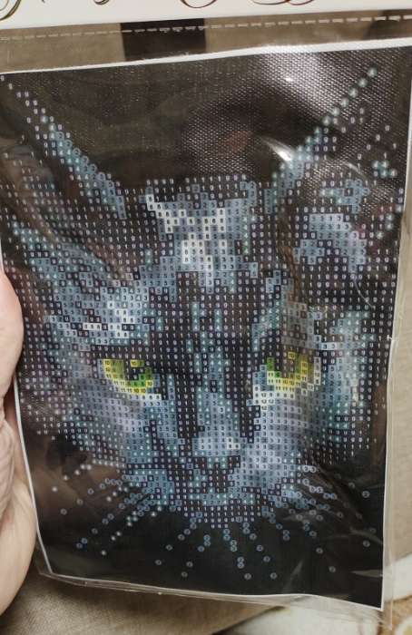 Фотография покупателя товара Алмазная мозаика с частичным заполнением «Чёрный кот», 15 х 21 см, холст. Набор для творчества - Фото 4