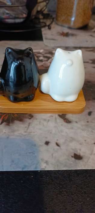 Фотография покупателя товара Набор фарфоровый для специй на бамбуковой подставке BellaTenero «Котики», 3 предмета: солонка, перечница, подставка, белый, чёрный - Фото 25