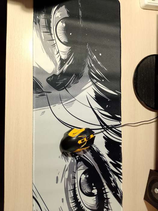 Фотография покупателя товара Коврик для компьютерной мыши «Виртуальный мир», 30×80 см - Фото 1