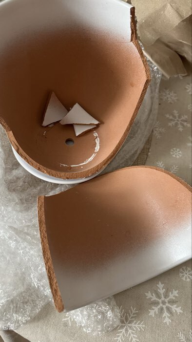 Фотография покупателя товара Горшок для цветов «Лотос», 2.5 л, d=19 см, h=18 см, керамика, с поддоном, белый - Фото 10