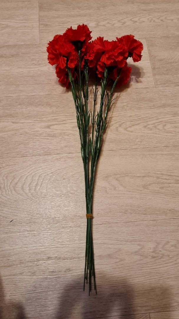 Фотография покупателя товара Цветы искусственные «Гвоздика» 45 см, белый - Фото 1