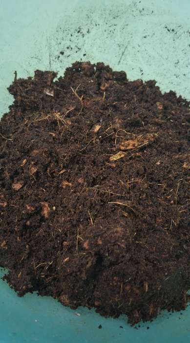 Фотография покупателя товара Субстрат кокосовый, универсальный, для террариумов и растений, в брикете, 65 л, 30% чипсы и 70% торф, Greengo - Фото 6