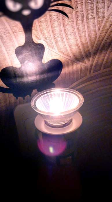 Фотография покупателя товара Лампа для террариума UVA+UVB mini NomoyPet, 75 Вт, цоколь Е27 - Фото 1