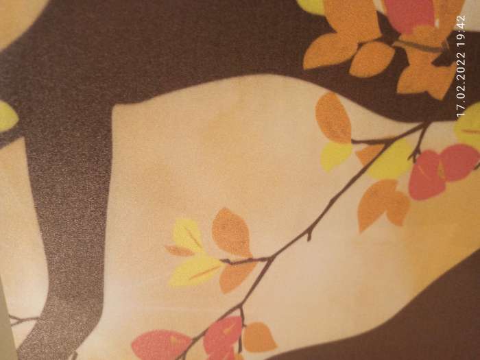 Фотография покупателя товара Ширма – перегородка «Дарим Красиво. Времена года», 200×160 см - Фото 6