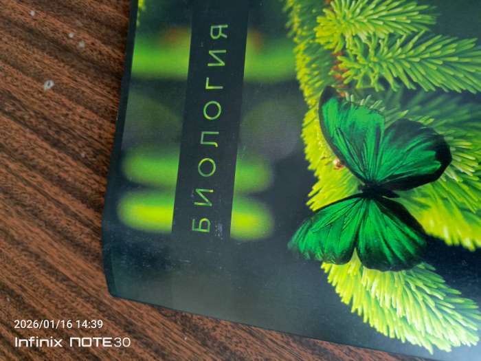 Фотография покупателя товара Тетрадь в клетку, предметная, 48 л., на скрепке, А5 «ПРИРОДА. Биология» - Фото 31