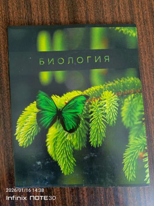 Фотография покупателя товара Тетрадь в клетку, предметная, 48 л., на скрепке, А5 «ПРИРОДА. Биология» - Фото 29