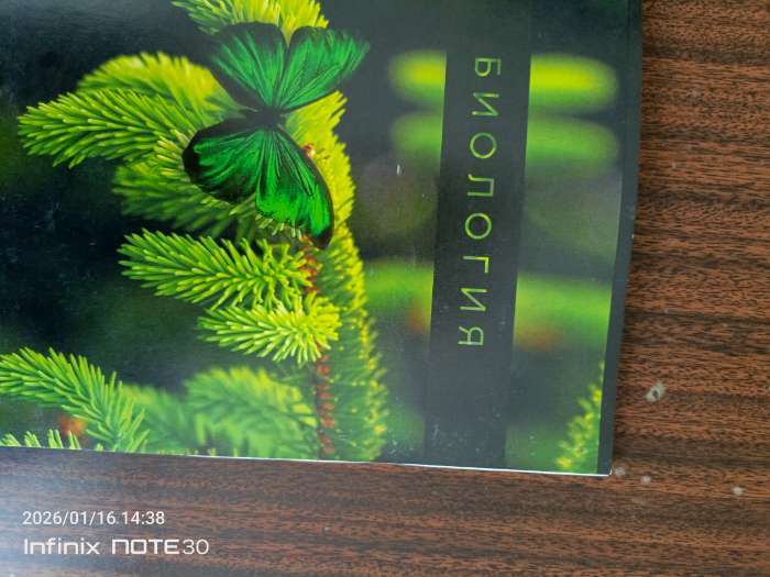 Фотография покупателя товара Тетрадь в клетку, предметная, 48 л., на скрепке, А5 «ПРИРОДА. Биология» - Фото 28