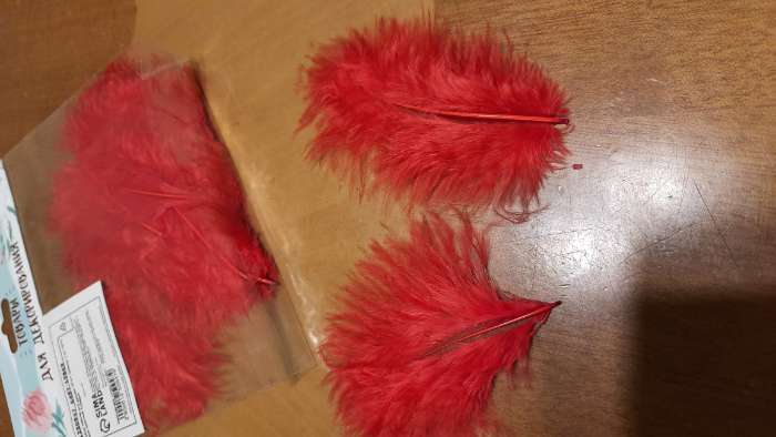 Фотография покупателя товара Набор перьев для декора 10 шт., размер 1 шт: 10 × 2 см, цвет розовый - Фото 1