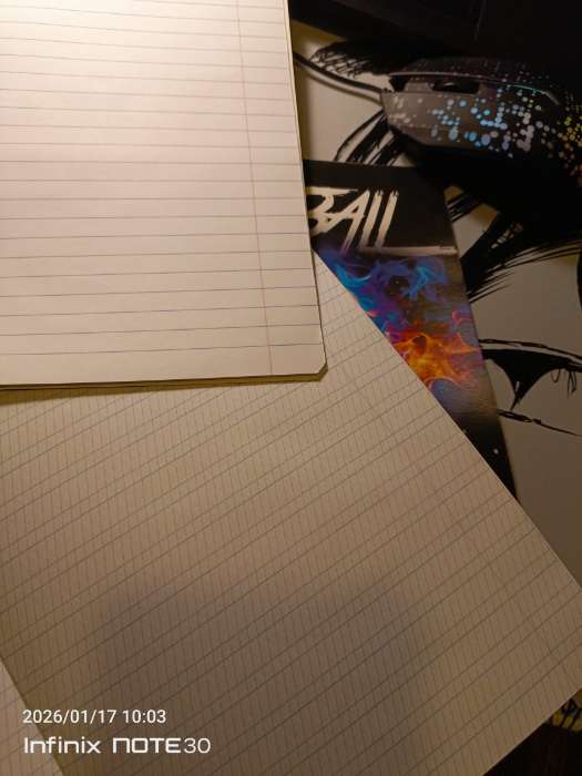 Фотография покупателя товара Тетрадь 12 листов в линейку, А5, на скрепке, блок №1 «Футбол» МИКС - Фото 11