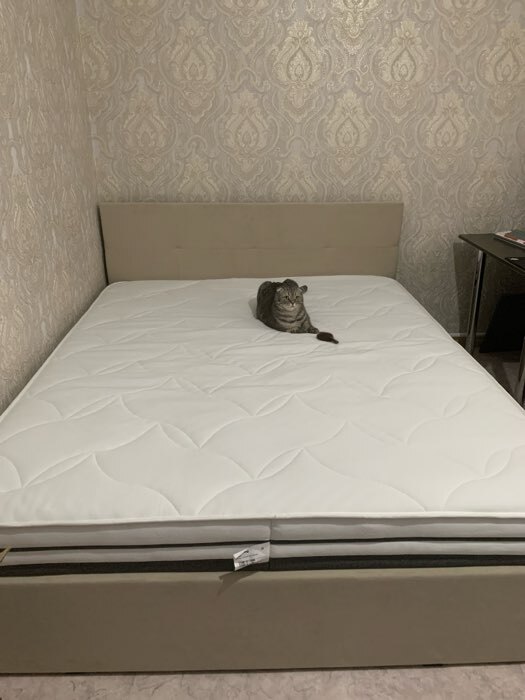 Фотография покупателя товара Кровать двуспальная, с основанием, спальное место 1600×2000 мм, велюр, цвет бежевый - Фото 7