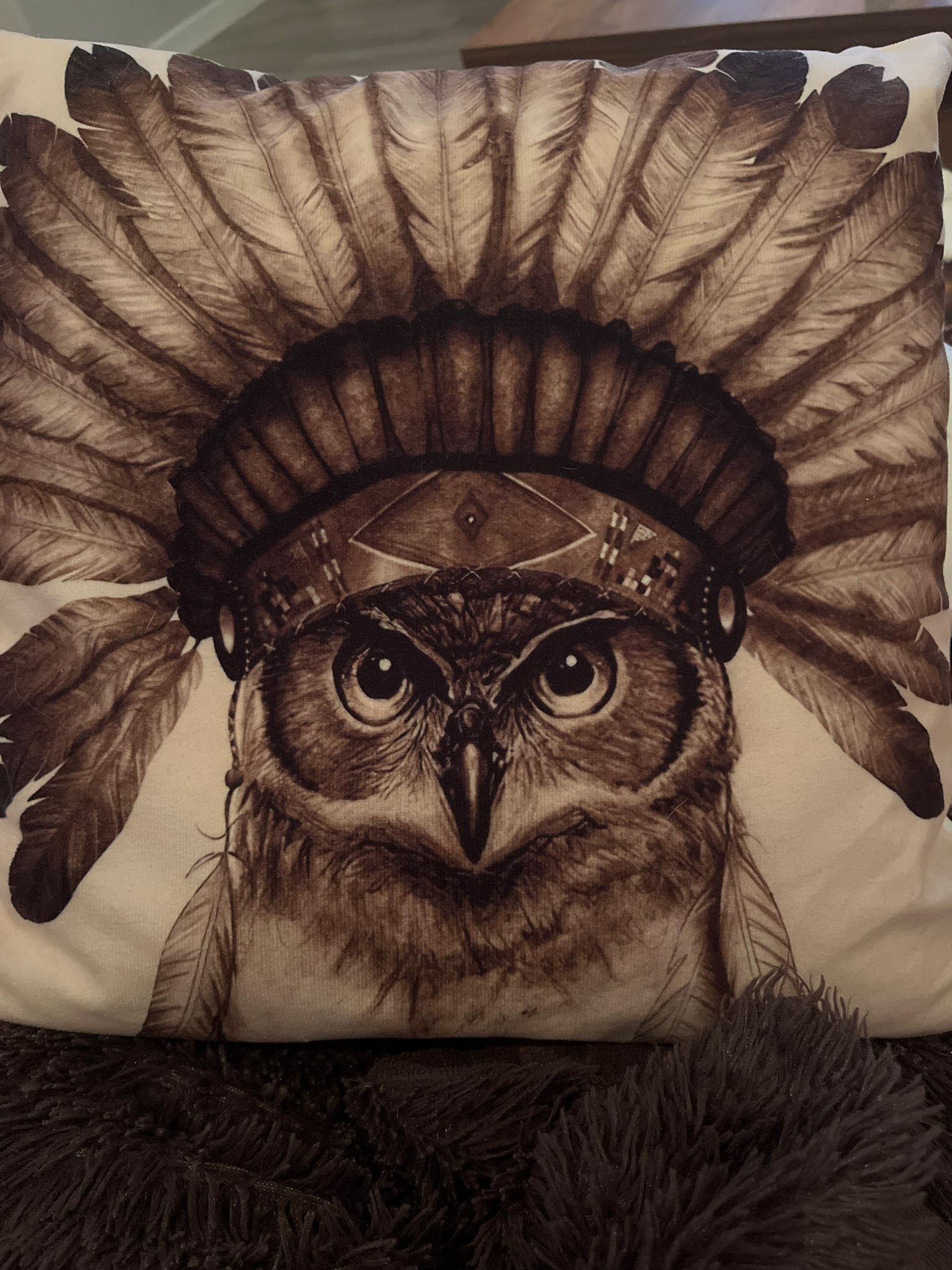 Фотография покупателя товара Наволочка декоративная «Этель. Сова», 40×40 см, велюр - Фото 1