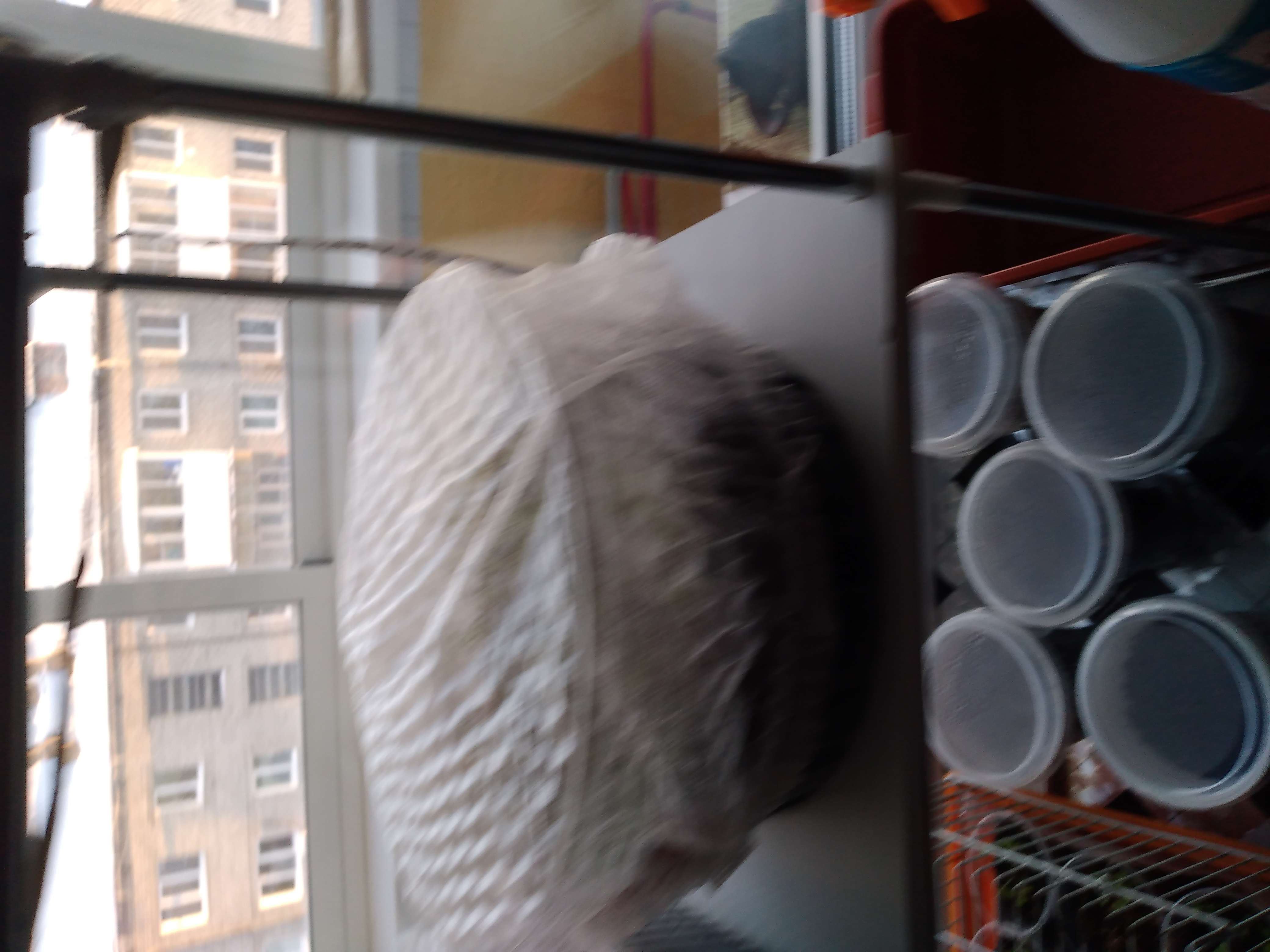 Фотография покупателя товара Чехол для капусты, на резинке, спанбонд 12 г/м², белый, 50 шт.