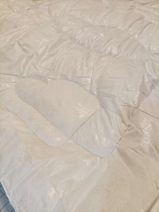 Фотография покупателя товара Одеяло 1.5 сп. LoveLife, 140×205 см, лебяжий пух - Фото 1