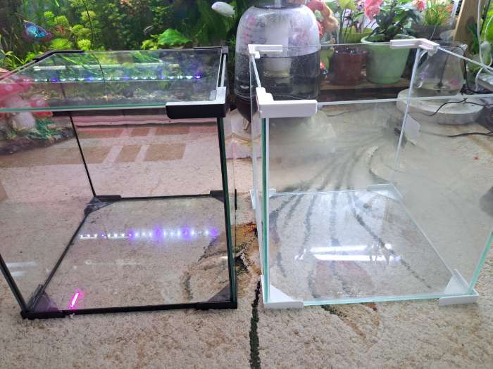 Фотография покупателя товара Аквариум «Куб» без покровного стекла, 27 л, 30×30×30 см, бесцветный шов - Фото 6