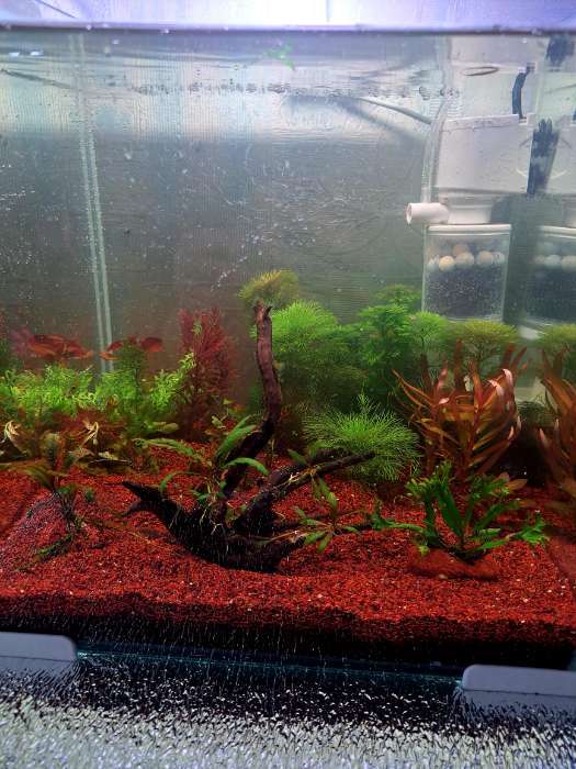 Фотография покупателя товара Аквариум «Куб» без покровного стекла, 27 л, 30×30×30 см, бесцветный шов - Фото 2