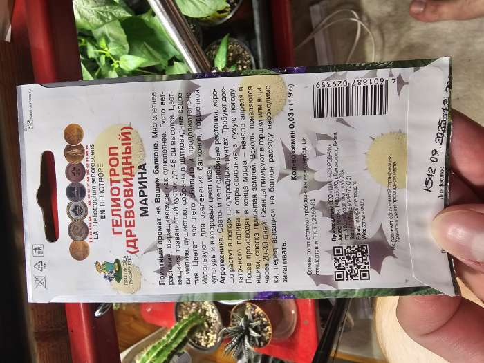 Фотография покупателя товара Семена цветов Гелиотроп Марина, 0,03гр - Фото 3