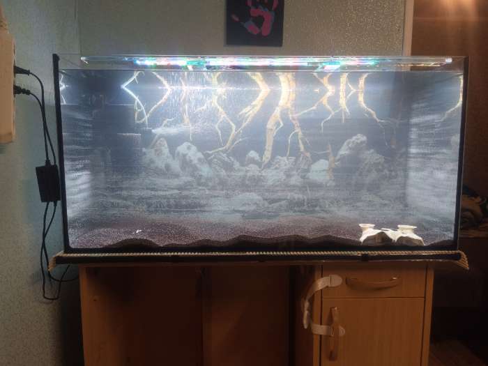 Фотография покупателя товара Аквариум «Прямоугольный» без крышки, 150 л, 93×35×45 см - Фото 1