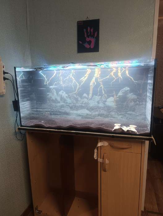 Фотография покупателя товара Аквариум «Прямоугольный» без крышки, 150 л, 93×35×45 см - Фото 2