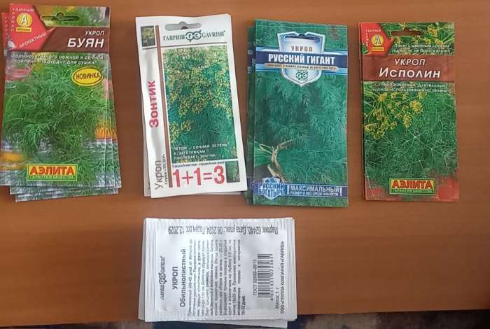 Фотография покупателя товара Семена Укроп «Обильнолистный», 1 г, «Удачные семена» - Фото 2