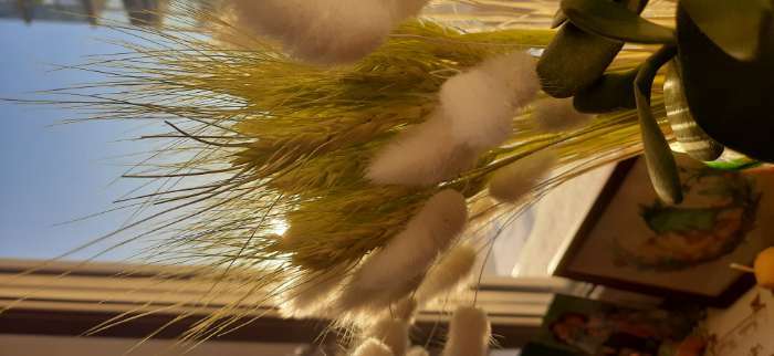 Фотография покупателя товара Сухой колос пшеницы, набор 50 шт., цвет жёлтый - Фото 7