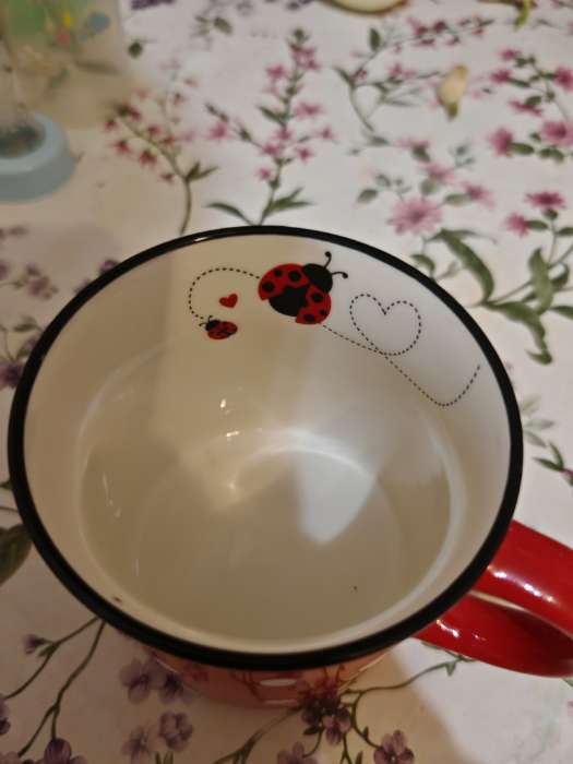 Фотография покупателя товара Кружка Доляна «Божья коровка», 370 мл, фарфор, чёрная - Фото 1