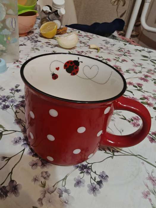 Фотография покупателя товара Кружка Доляна «Божья коровка», 370 мл, фарфор, чёрная - Фото 2