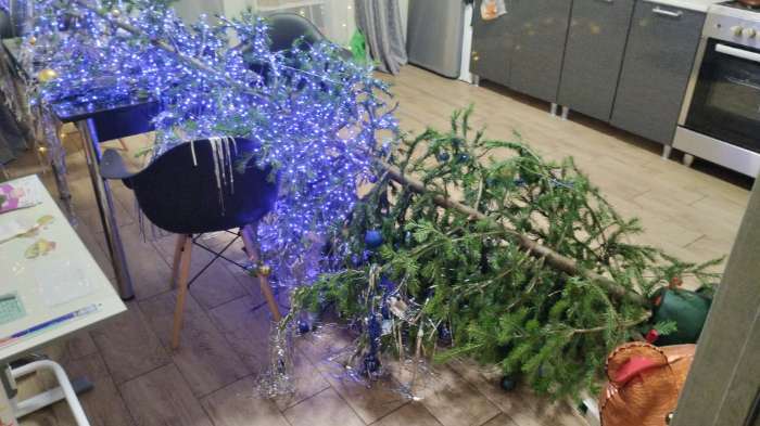 Фотография покупателя товара Подставка для ёлки Martika «Невио», пластик, d=34.9 см, h=13.5 см, зелёный/красный - Фото 45