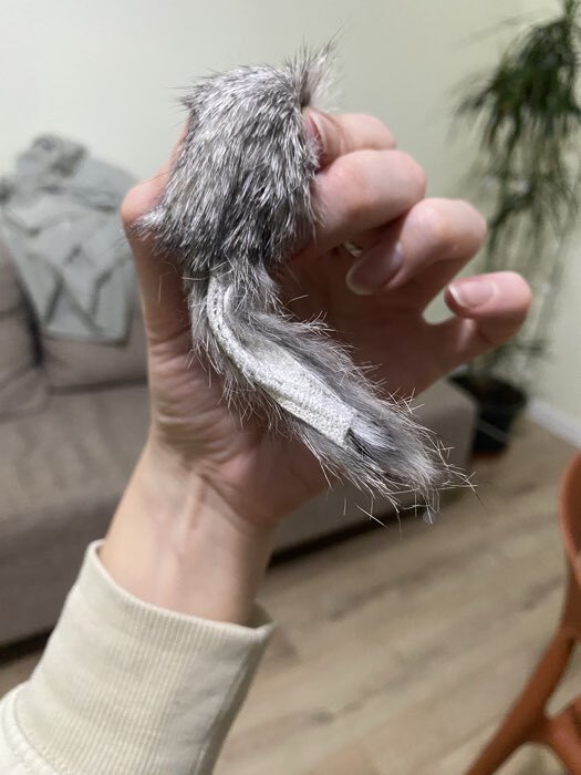 Фотография покупателя товара Мышь, 5 см, натуральный мех, серая - Фото 20