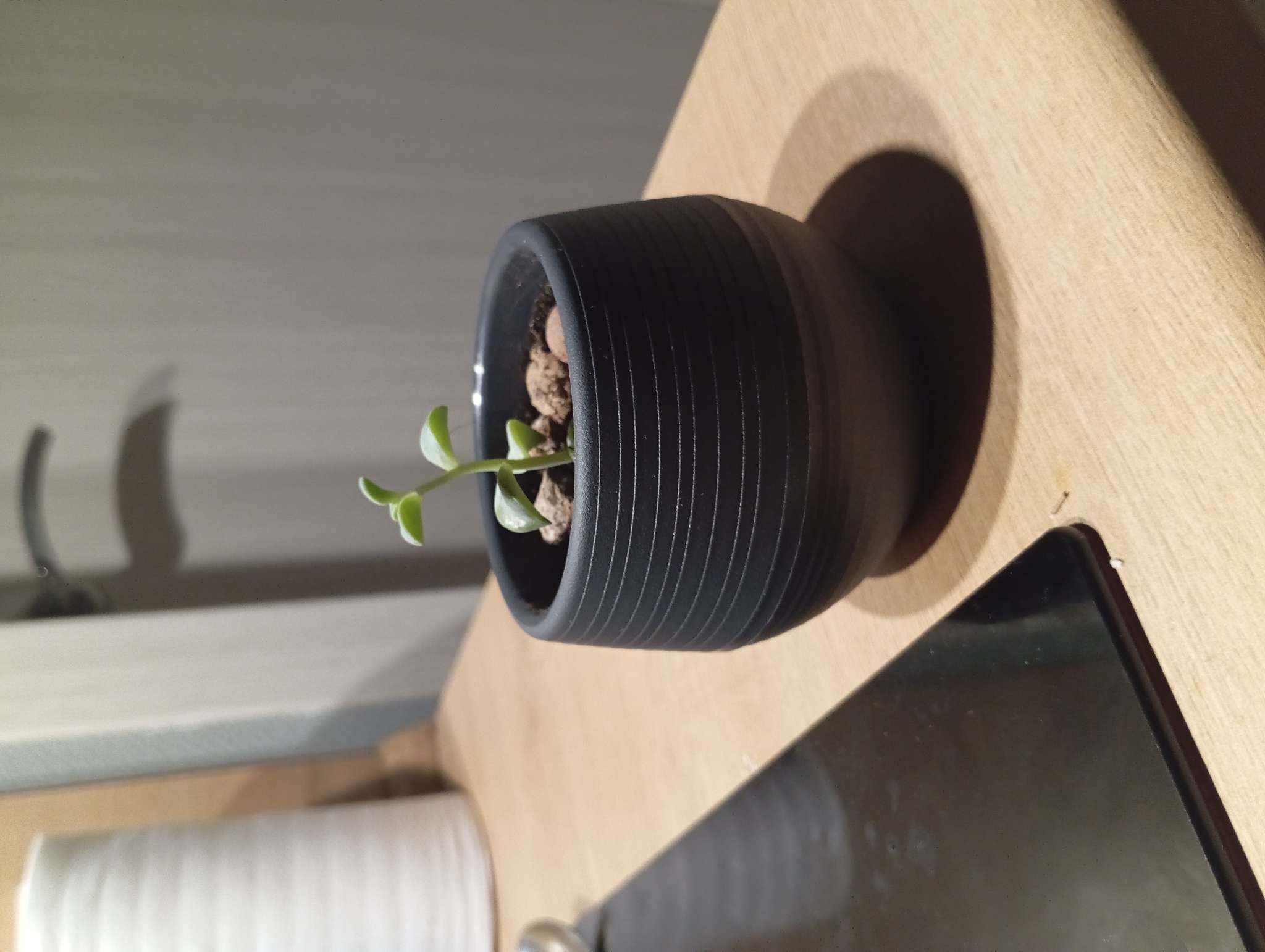 Фотография покупателя товара Горшок для цветов «Япония», 2 л, пластиковый, белый - Фото 1