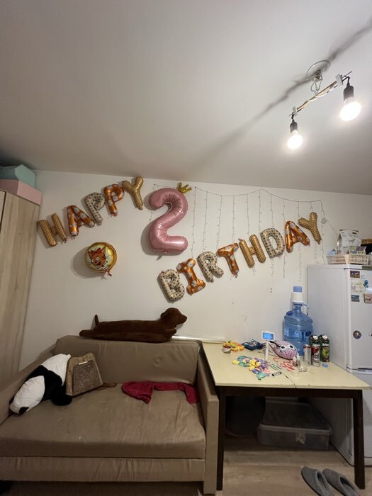 Фотография покупателя товара Воздушные шары фольгированные 16", гирлянда «С Днём Рождения» - Фото 6