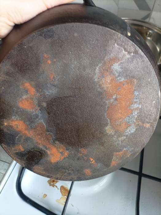 Фотография покупателя товара Жаровня Wild Kitchen, 3 л, d=26 см, лопатка и губка в комплекте. чугун - Фото 4