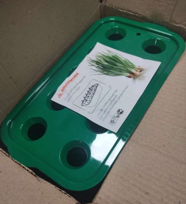 Фотография покупателя товара Лоток для выращивания зелёного лука, 29 × 16 × 8.5 см, цвет МИКС - Фото 6
