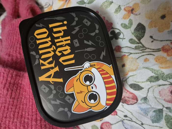 Фотография покупателя товара Ланч - бокс прямоугольный «Обед по расписанию», 500 мл - Фото 1