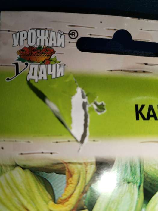 Фотография покупателя товара Семена Кабачок «Кавили», F1, 3 шт., «Урожай удачи» - Фото 8