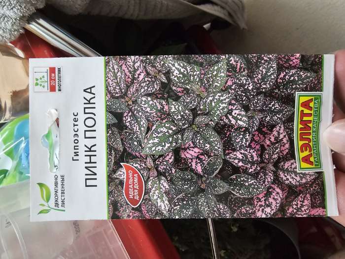 Фотография покупателя товара Семена цветов Гипоэстес "Пинк Полка", ц/п, 0,03 г - Фото 2