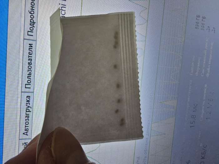 Фотография покупателя товара Семена цветов Гипоэстес "Пинк Полка", ц/п, 0,03 г - Фото 1