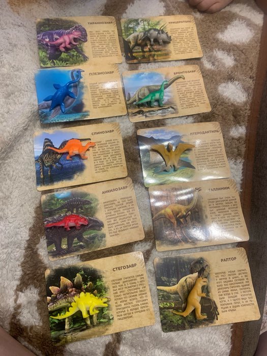Фотография покупателя товара Развивающий набор фигурок динозавров для детей «Древний мир», животные, карточки, по методике Монтессори - Фото 7