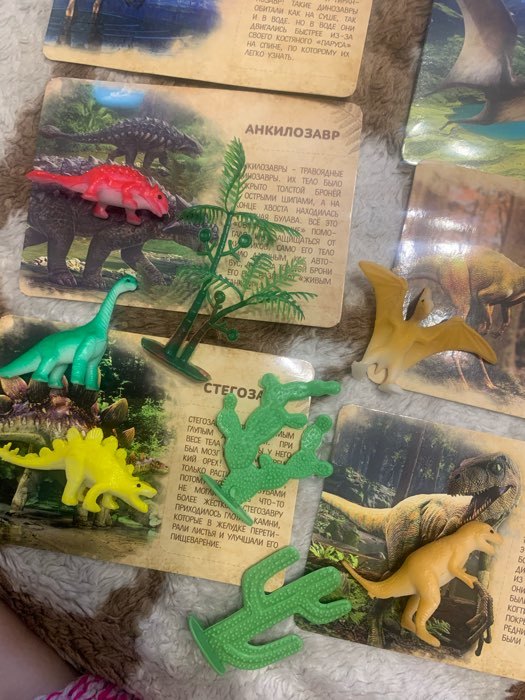 Фотография покупателя товара Развивающий набор фигурок динозавров для детей «Древний мир», животные, карточки, по методике Монтессори - Фото 6