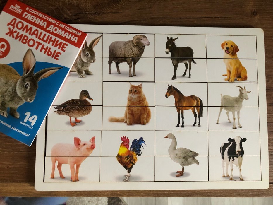 Фотография покупателя товара Карточки Домана с пазлами «Домашние животные» - Фото 1