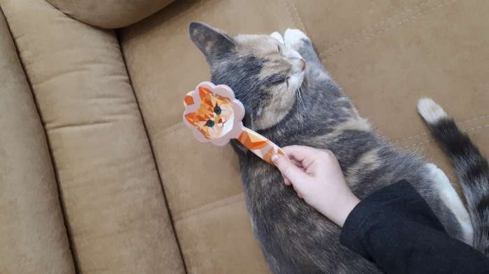 Фотография покупателя товара Расчёска для животных «Кошка» - Фото 2