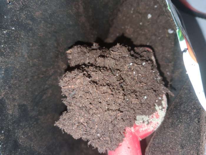 Фотография покупателя товара Грунт «Торфяная поляна» для Томатов и перцев, 5 л - Фото 2