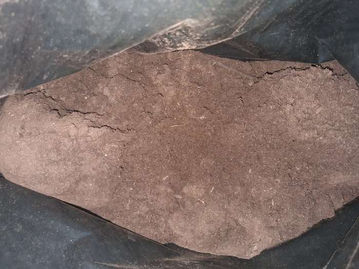 Фотография покупателя товара Почвогрунт Дачные Рецепты "Садовая земля", 60 л - Фото 2