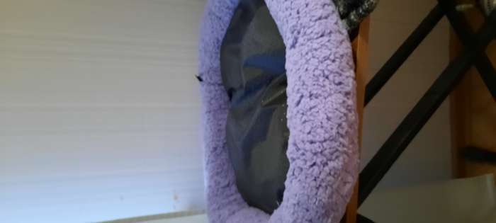 Фотография покупателя товара Лежанка для животных «Уют», 50×42×11 с, мягкий мех, фиолетовая - Фото 37