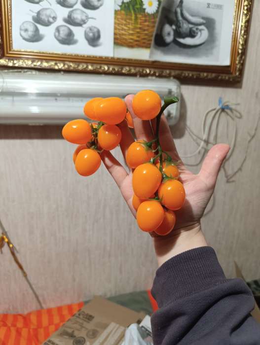 Фотография покупателя товара Муляж «Помидоры на ветке», 3.5×16.5 см, на ветке 16 шт., МИКС - Фото 1