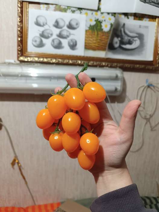 Фотография покупателя товара Муляж «Помидоры на ветке», 3.5×16.5 см, на ветке 16 шт., МИКС - Фото 2