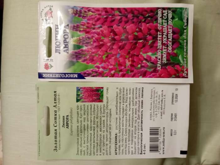 Фотография покупателя товара Семена Люпин «Аврора», 0.3 г, красновато-розовый, многолетний, «Золотая Сотка Алтая» - Фото 1