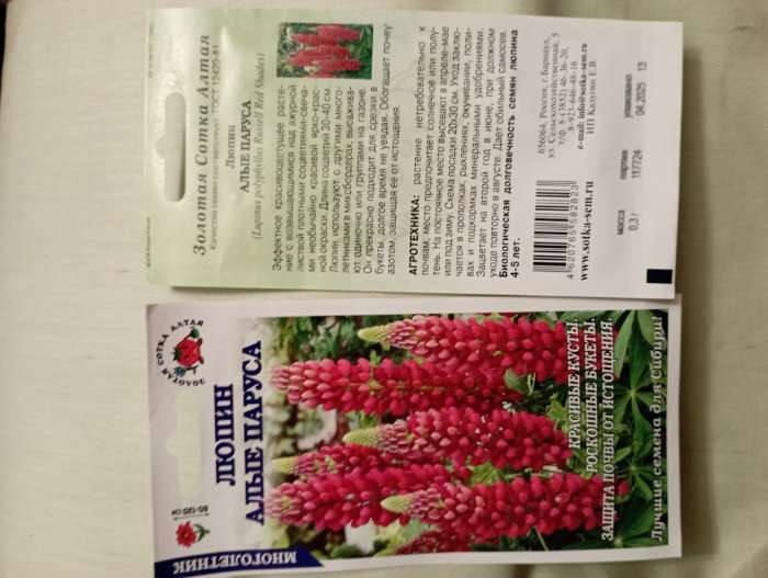 Фотография покупателя товара Семена Люпин «Алые Паруса», 0.3 г, многолетний, «Золотая Сотка Алтая» - Фото 1