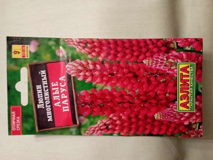 Фотография покупателя товара Семена цветов Люпин "Алые паруса" многолетний, ц/п, 15 шт - Фото 2