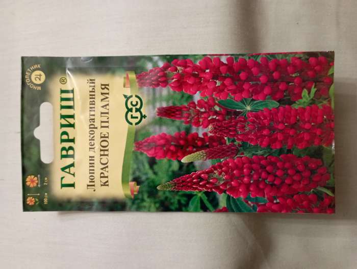 Фотография покупателя товара Семена цветов Люпин "Красное пламя", ц/п,  0,5 г - Фото 1